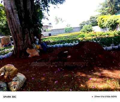 Land for Lease - Image 7