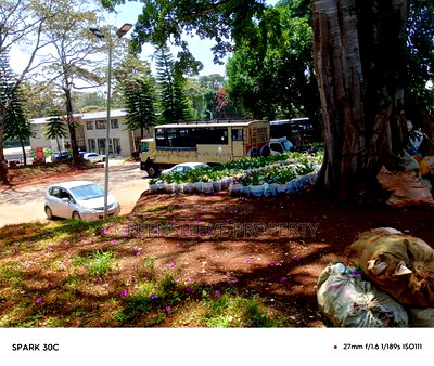 Land for Lease - Image 8