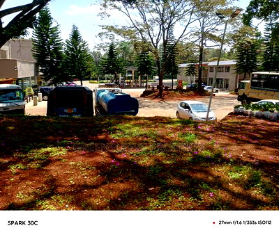 Land for Lease - Image 4