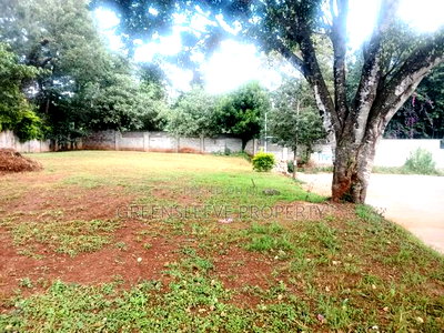 Land for Lease - Image 2