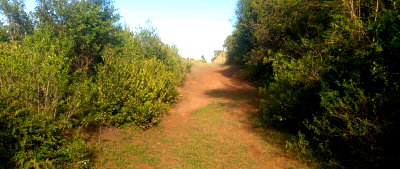2.5 Acres in Loldaiga Conservancy