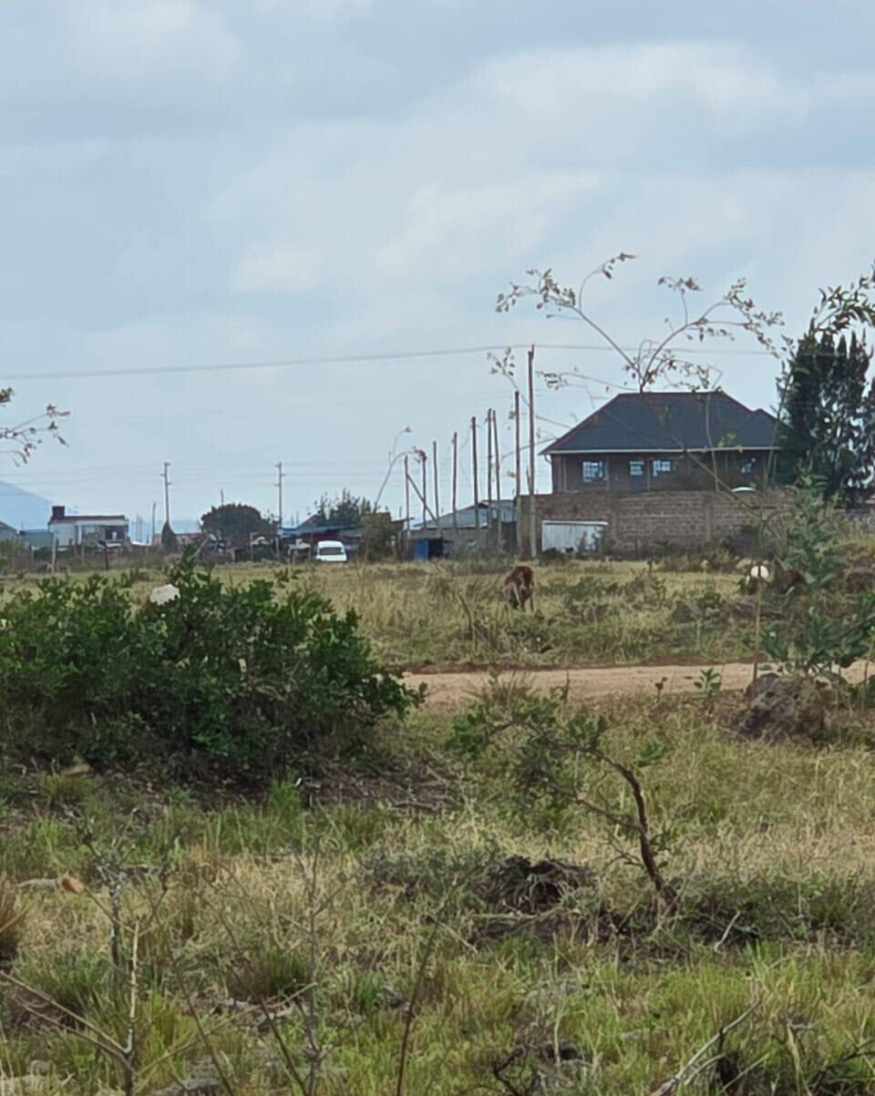50x100 Plot for KSh 2.5M in Juja