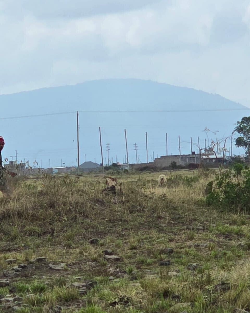50x100 Plot for KSh 2.5M in Juja
