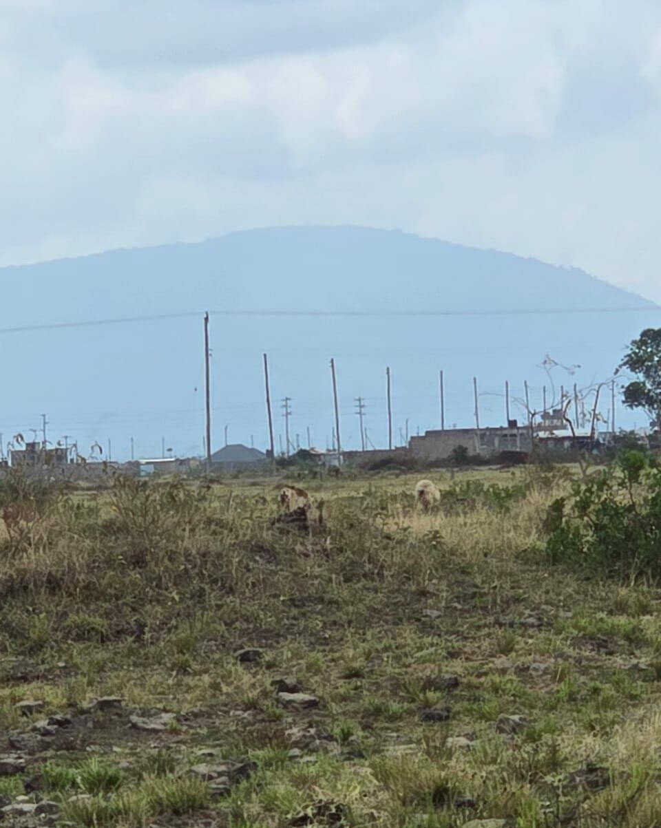 50x100 Plot for KSh 2.5M in Juja