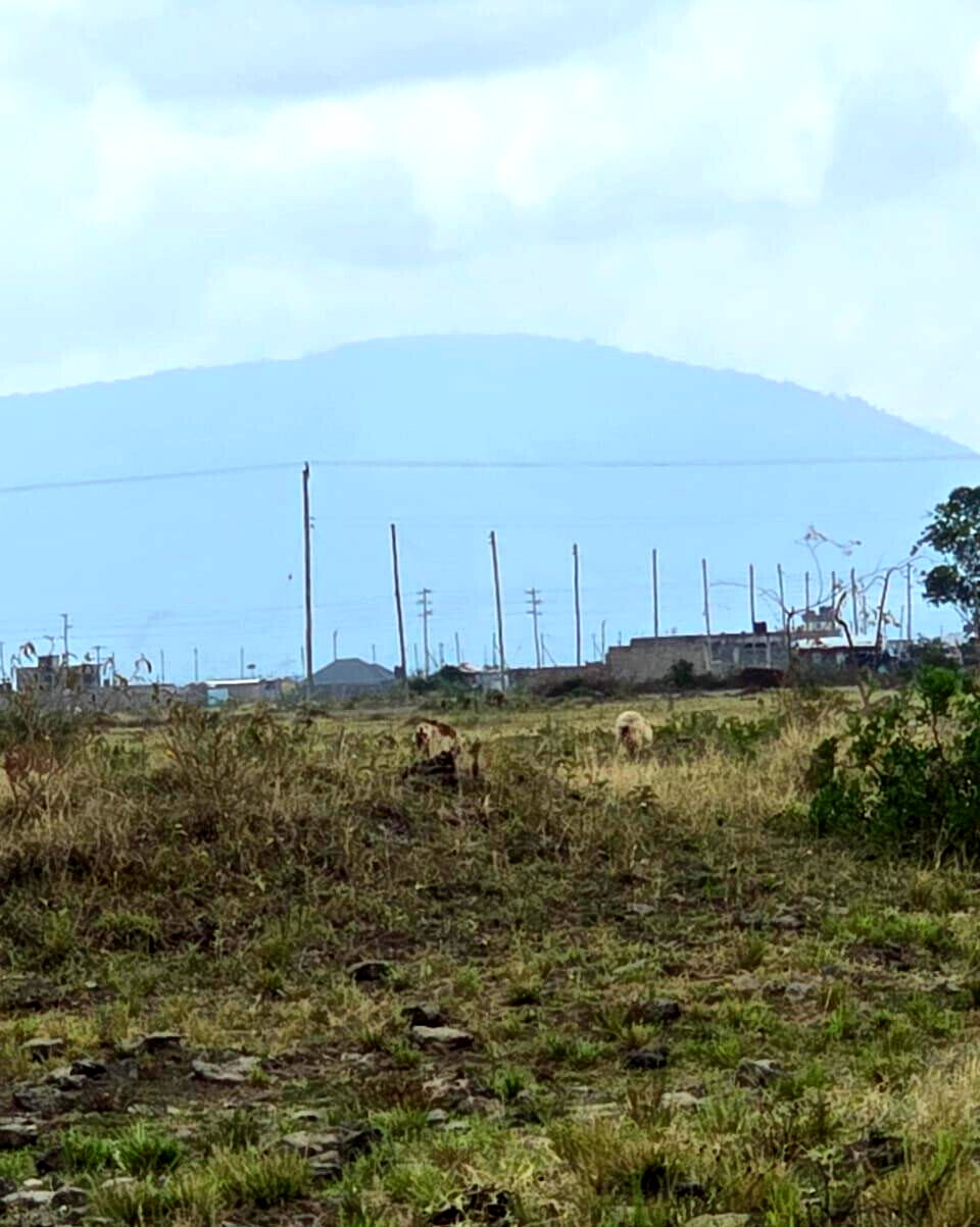50x100 Plot for KSh 2.5M in Juja
