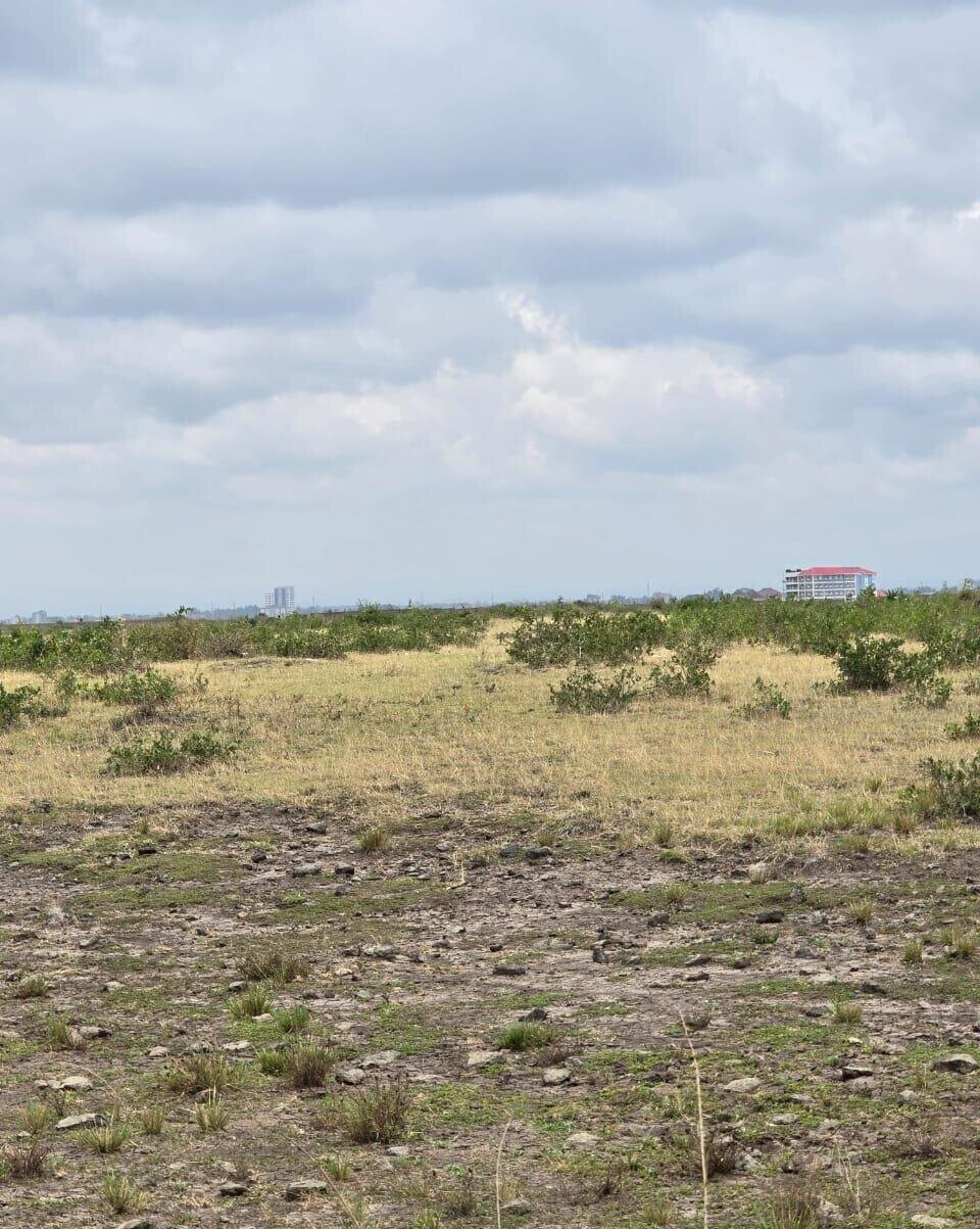 50x100 Plot for KSh 2.5M in Juja
