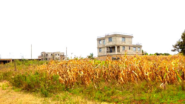 50 by 100 Plots for Sale in Kikuyu, Kamangu