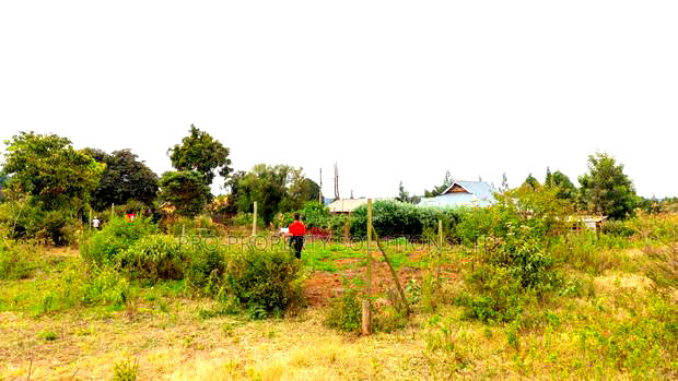 50 by 100 Plots for Sale in Kikuyu, Kamangu