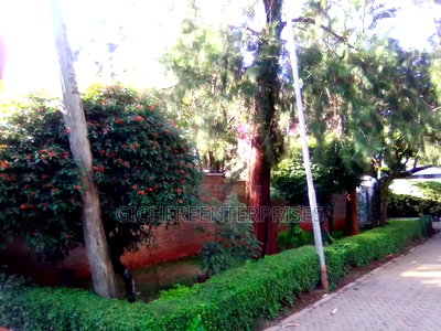 Garden Estate 3/Bedroomed House on 1/2acre 55m - Image 14