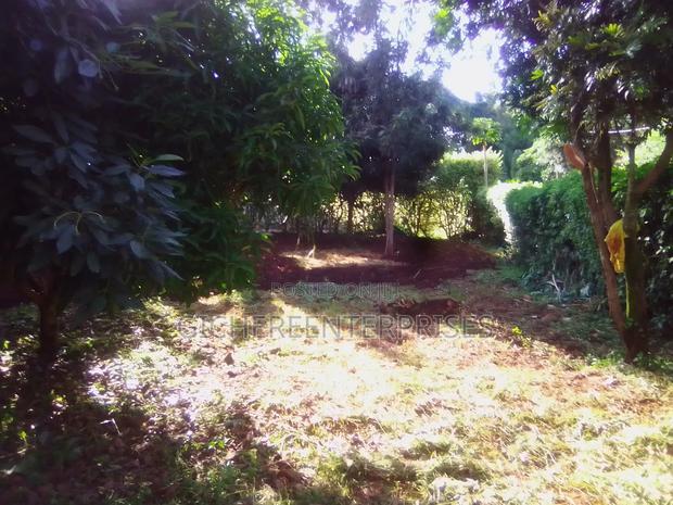 Garden Estate 3/Bedroomed House on 1/2acre 55m