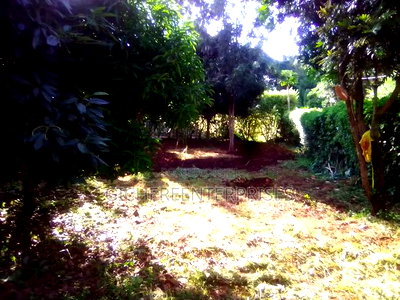 Garden Estate 3/Bedroomed House on 1/2acre 55m - Image 13