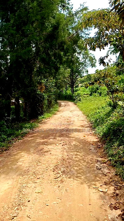 1/4 Acre Piece of Land for Sale - Image 4