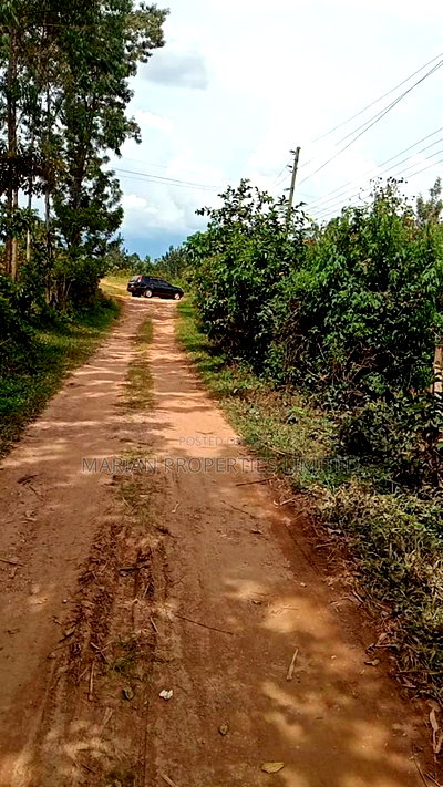 1/4 Acre Piece of Land for Sale - Image 3