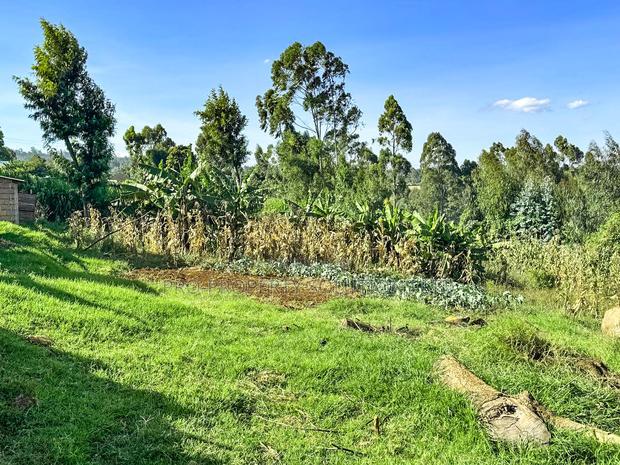 Prime Residential Plots for Sale in Kikuyu, Muguga