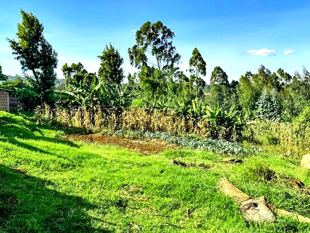 Prime Residential Plots for Sale in Kikuyu, Muguga