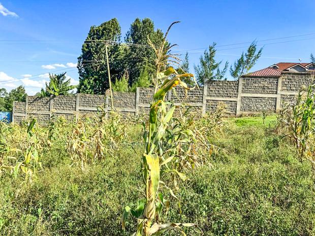 Prime Residential Plots for Sale in Kikuyu, Muguga