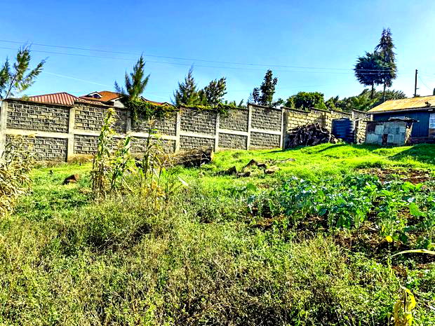 Prime Residential Plots for Sale in Kikuyu, Muguga