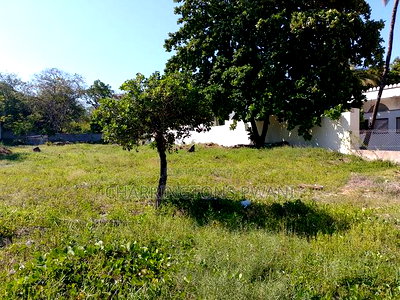 Beach Front 1 Acre Next to Lantana Galu - Image 14