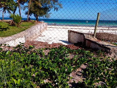 Beach Front 1 Acre Next to Lantana Galu - Image 4