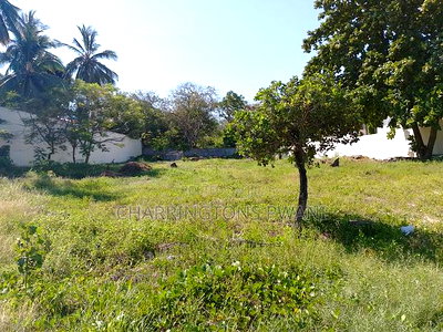 Beach Front 1 Acre Next to Lantana Galu - Image 10