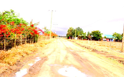 Half Acre Garden Plot with Parking - Kisaju