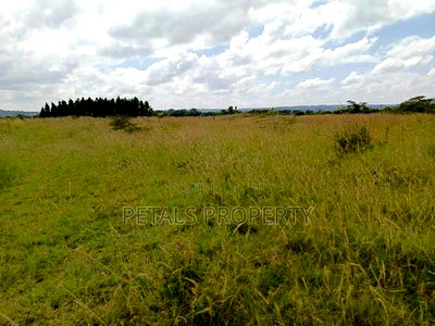 100 Acres in Ngata Sobea Nakuru - Image 2