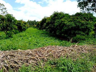 100 Acres in Ngata Sobea Nakuru - Image 1