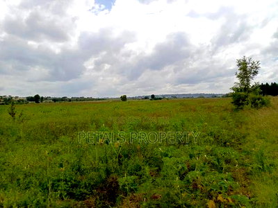100 Acres in Ngata Sobea Nakuru - Image 5