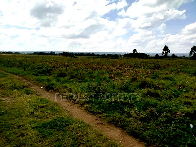 100 Acres in Ngata Sobea Nakuru - Image 4