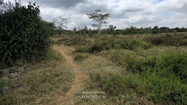 Chumvi: 10 Acres For Sale