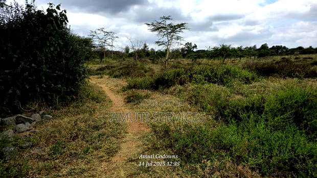 Chumvi: 10 Acres For Sale