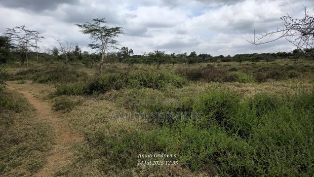 Chumvi: 10 Acres For Sale