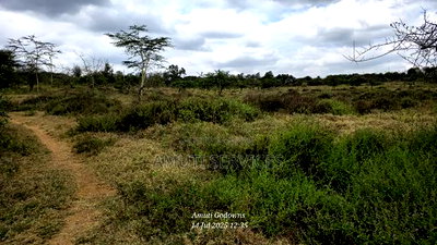 Chumvi: 10 Acres For Sale - Image 3