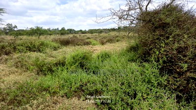 Chumvi: 10 Acres For Sale - Image 2