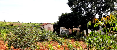 Quarter Acre Garden Plot with Parking