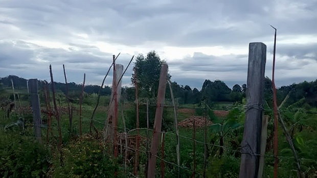 32 Acres for Sale in Nangili