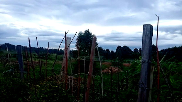 32 Acres for Sale in Nangili