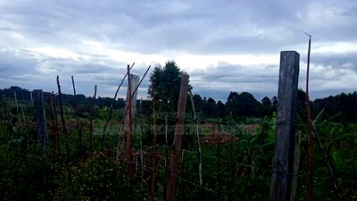 32 Acres for Sale in Nangili - Image 1