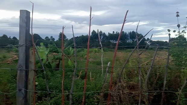 32 Acres for Sale in Nangili
