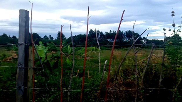 32 Acres for Sale in Nangili