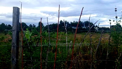32 Acres for Sale in Nangili - Image 2
