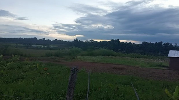 32 Acres for Sale in Nangili