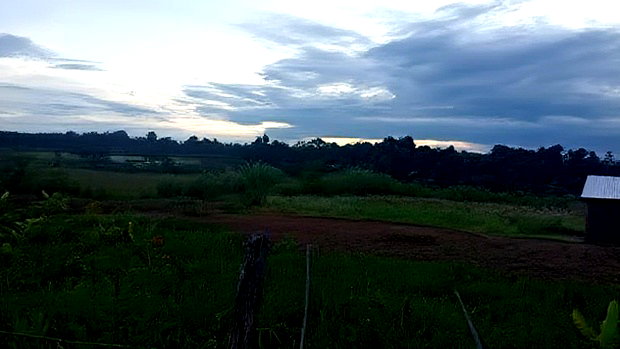 32 Acres for Sale in Nangili