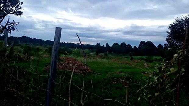 32 Acres for Sale in Nangili