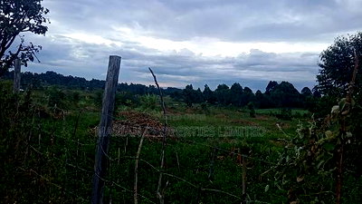 32 Acres for Sale in Nangili - Image 5