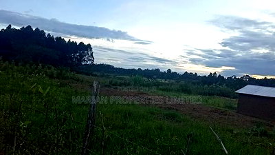 32 Acres for Sale in Nangili - Image 4
