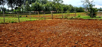 1/4 Plot For Sale In Chepkanga Eldoret - Image 3
