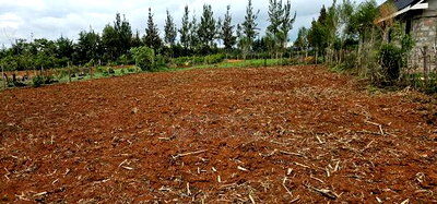 1/4 Plot For Sale In Chepkanga Eldoret - Image 4