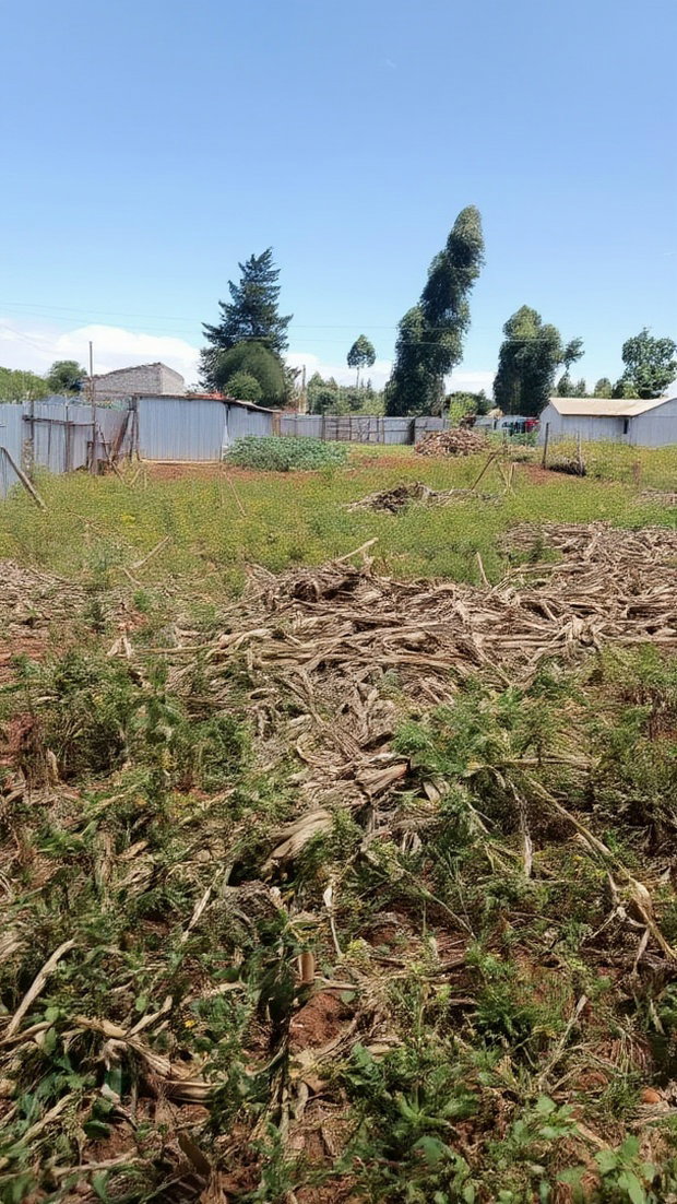 1/4 Plot Kimumu Chebarus With Title