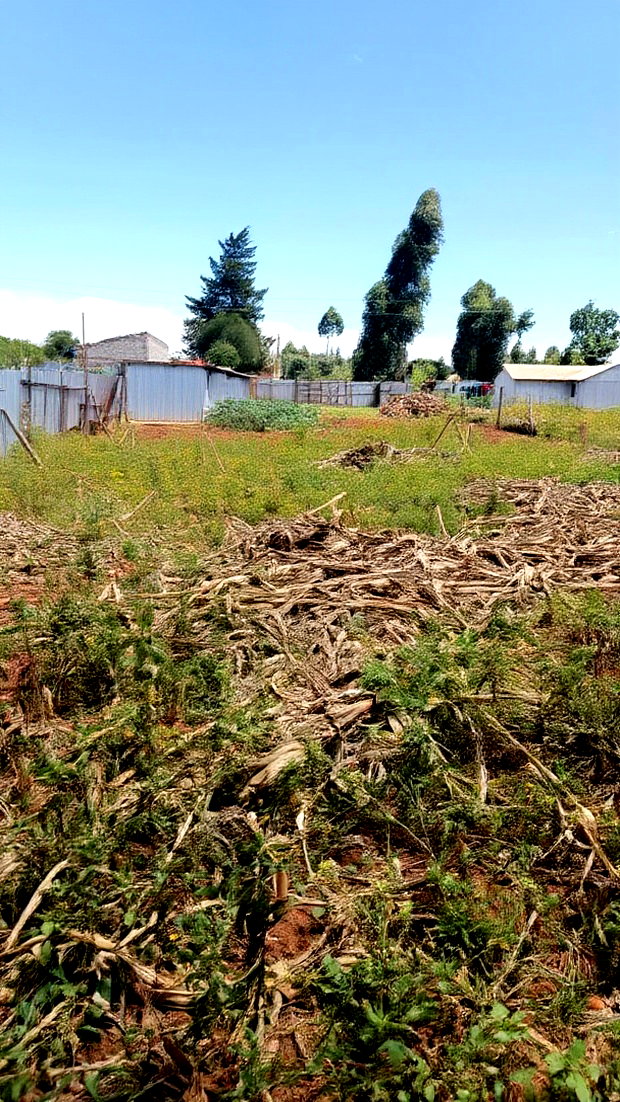 1/4 Plot Kimumu Chebarus With Title